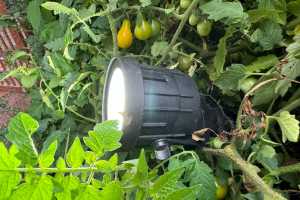 Hampton Bay Landscape Floodlight review: Home Depot is learning